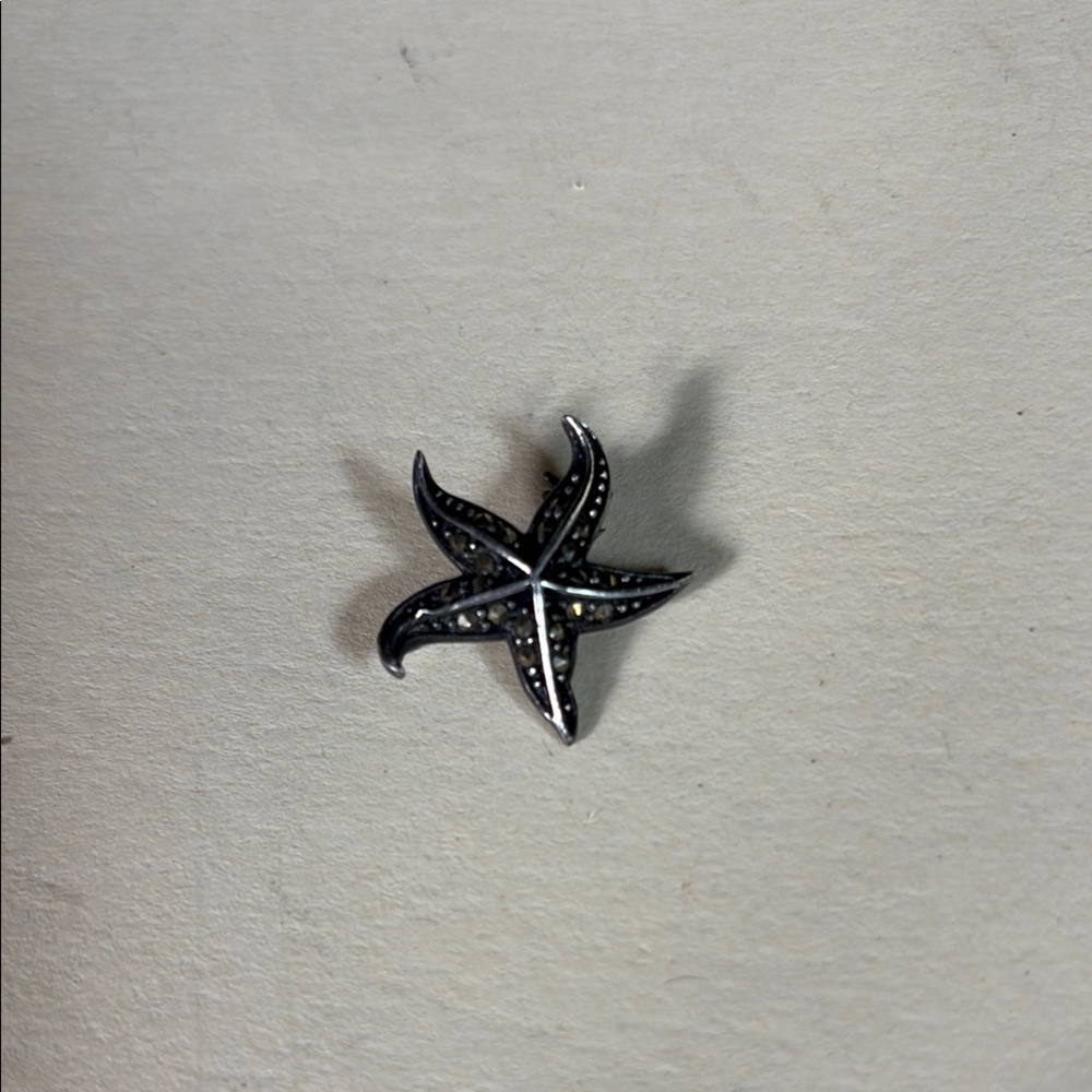 Starfish Brooch Pin
